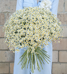 Букет "Моей ромашке"