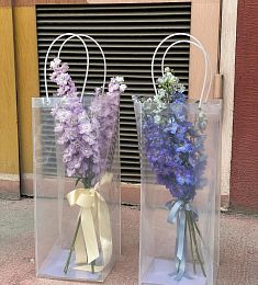 Дельфиниумы в пакете