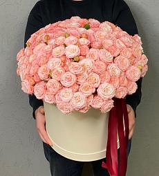 Букет в коробке "Феерия" 101 пионовидная роза 