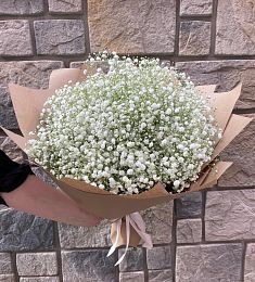 Букет из 13 гипсофил