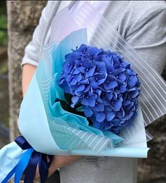 1 королевская гортензия в оформлении