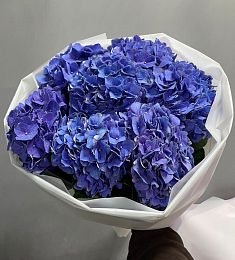 7 синих гортензий