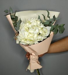 1 белая гортензия с эвкалиптом