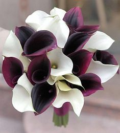 Букет невесты из 19 бордовых и белых калл