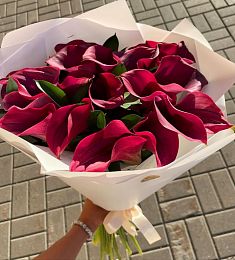 Букет из 25 красных калл