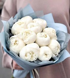 11 белых голландских пионов в оформлении