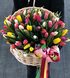 101 тюльпан микс в корзине