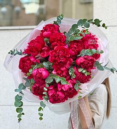 Букет «Алый бархат» из пионов сорта Red Charm