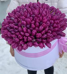 201 сиреневый тюльпан в коробке