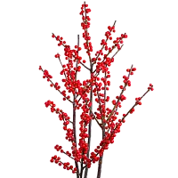 Илекс - соберите букет